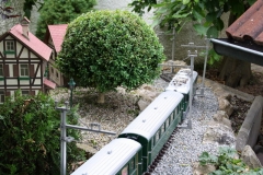 Der Zug passt gut zum Baum