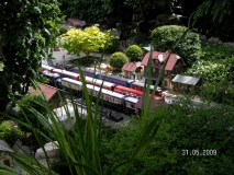 Dschungelbahn