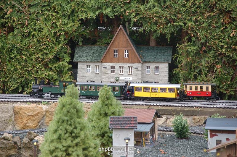 Heidi in Lauf