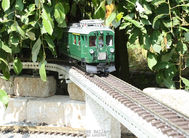 Rolfs Gasttriebwagen müht sich durch den Urwald