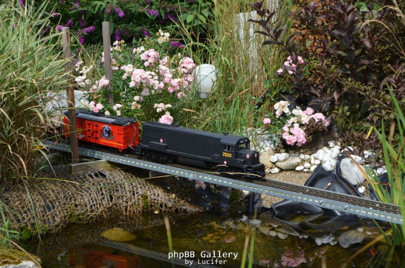 Über den Eriesee- ach nein Gartenteich