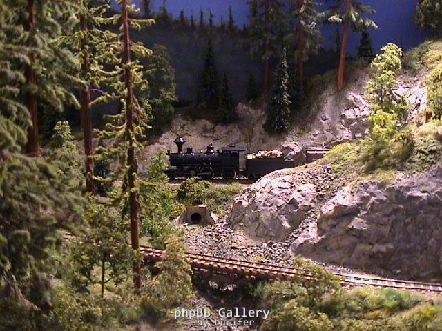 US-Waldbahn 1