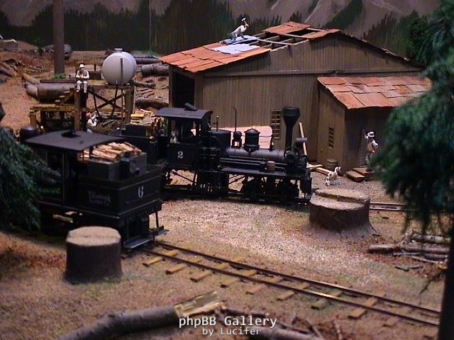 US-Waldbahn 3