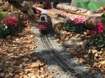 w14
