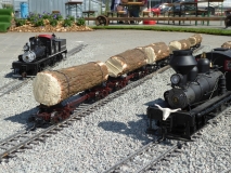Nette Szene von der Waldbahn