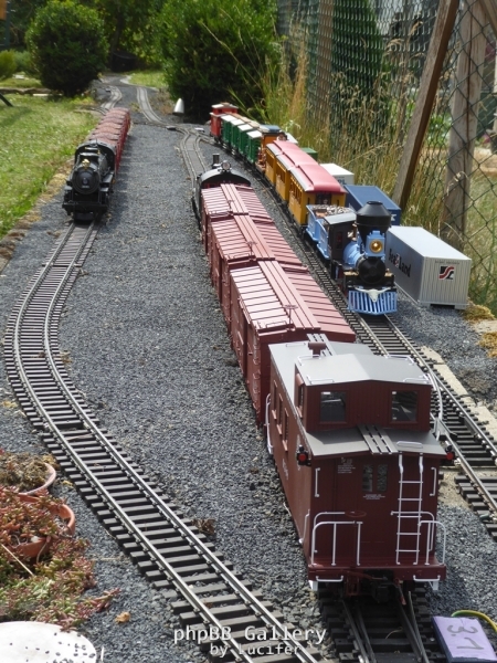 31