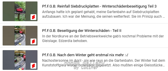 YT Winterschäden