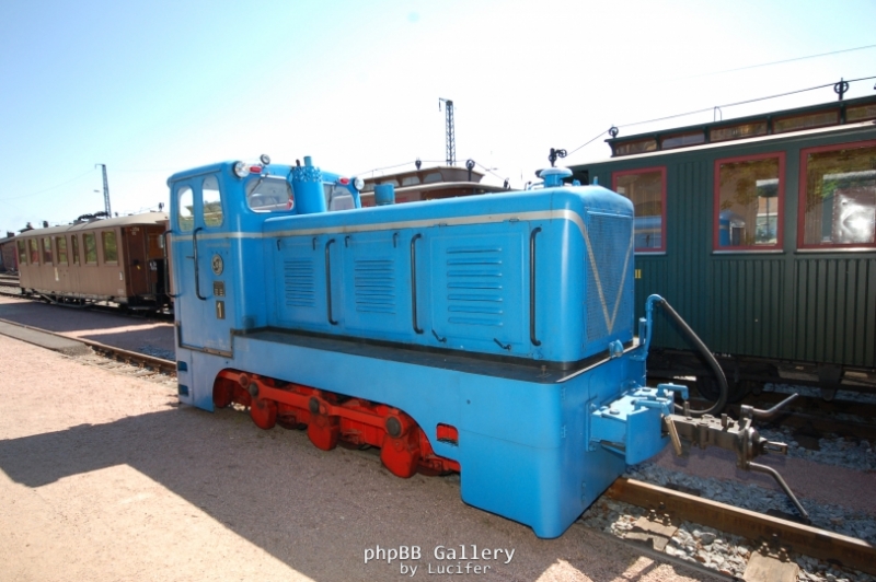 Kleine Blaue
