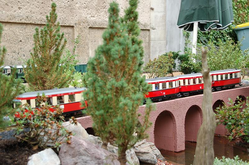 DSC_4676.JPG