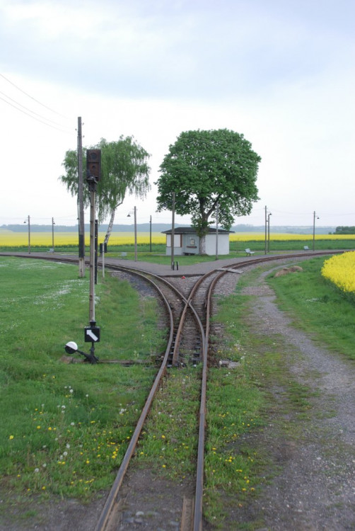 2010-05-09_116.JPG